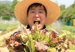 화승이랑